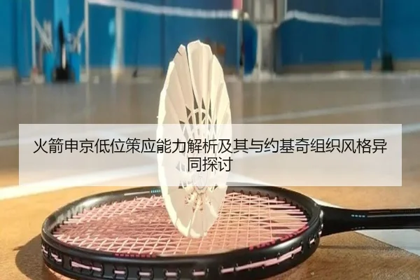 火箭申京低位策应能力解析及其与约基奇组织风格异同探讨（c7c7·app）
